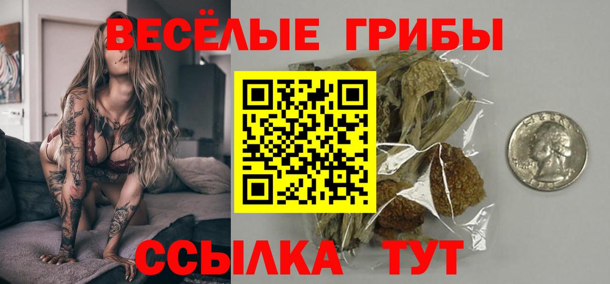 Галлюциногенные грибы прущие грибы  Псилоцибиновые грибы GOLDEN TEACHER  магазин продажи   Заинск  Вход с VPN 